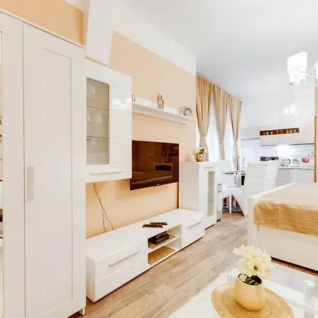 Wenceslass Square Luxury Apartment Prague
