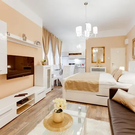 公寓 Wenceslass Square Luxury 布拉格