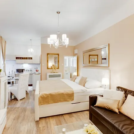 Wenceslass Square Luxury 布拉格